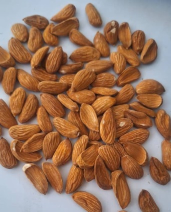 فروش و قیمت عمده مغز بادام مینی مامایی درجه 2